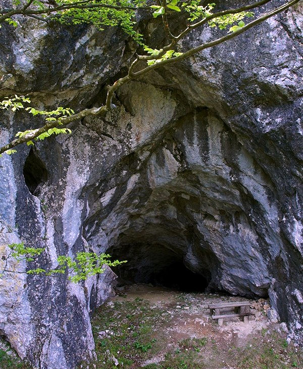  Rjavčeva jama 