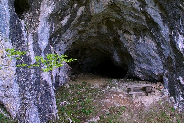  Rjavčeva jama 